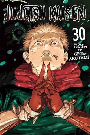 JUJUTSU KAISEN, VOL. 30